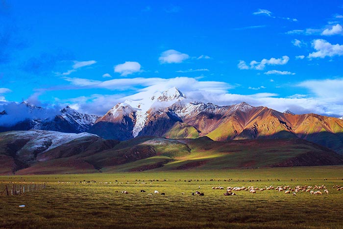 北京出发，一路向西，从成都烟火到九寨童话的治愈之旅-第1张图片-四川省中国青年旅行社